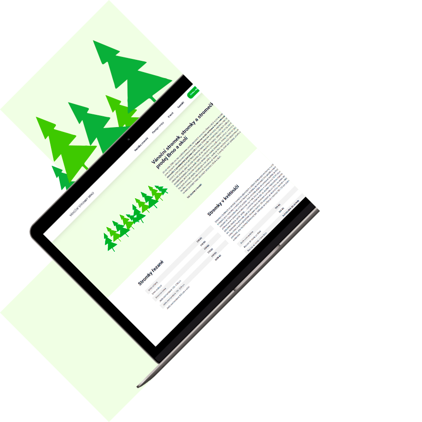 Vánoční stromky Brno